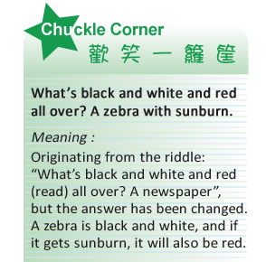 【IKE艾克電子報】2022 no.6_subTitle_chuck_corner