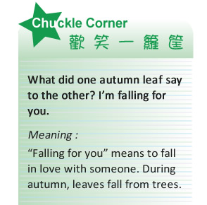 【IKE艾克電子報】2022 no.9_subTitle_chuck_corner