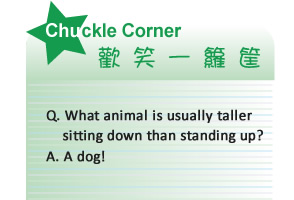 【IKE艾克電子報】2024 no.1_subTitle_chuck_corner