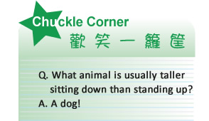 【IKE艾克電子報】2024 no.1_subTitle_chuck_corner