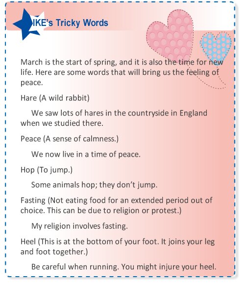 【IKE艾克電子報】2026 no.02__subTitle_IKEs