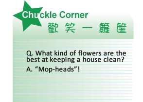 【IKE艾克電子報】2026 no.2_subTitle_chuck_corner